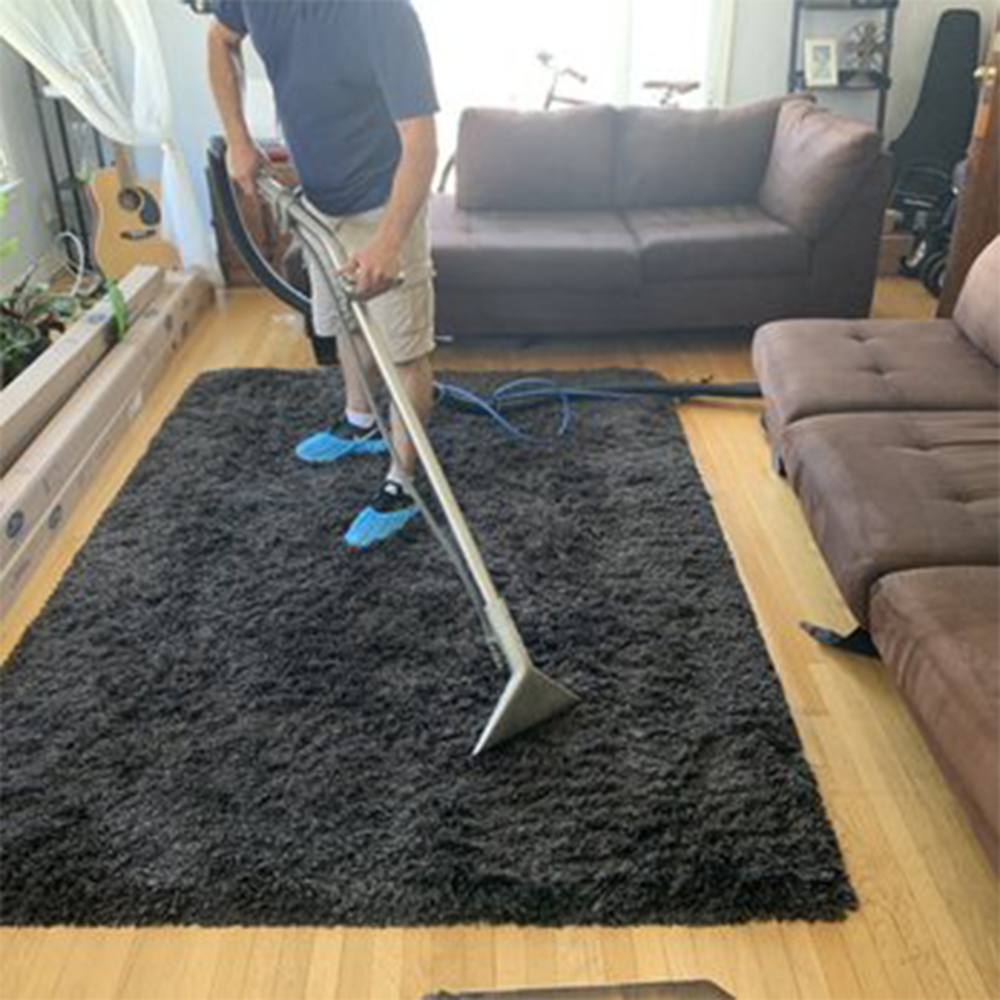 carpet cleaninig