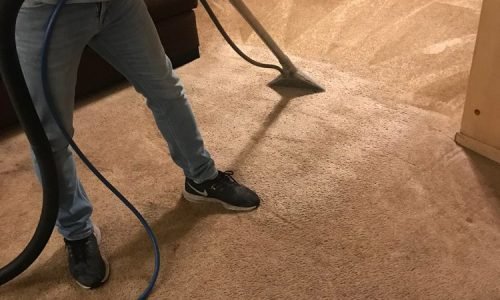 Carpet Cleaning worker